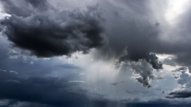 Vran&euml;sira dhe reshje shiu, parashikimi i motit p&euml;r k&euml;t&euml;