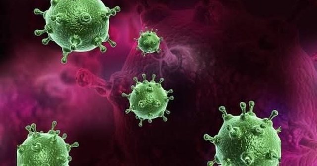 “Gripi më i rrezikshëm i këtij shekulli në