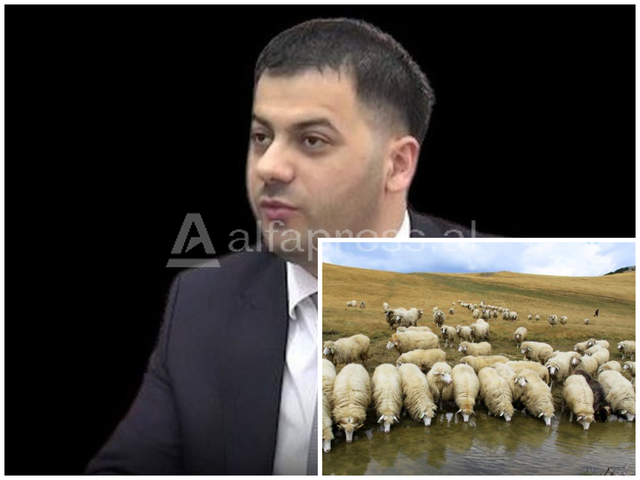 Pas ver&euml;s s&euml; Agasit, brenda 1 muaji zhduken edhe 31 dele t&euml;