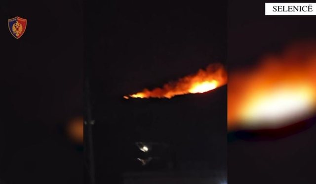U konfliktua me fqinjin dhe i vuri flakën tokës me ullinj, arrestohet