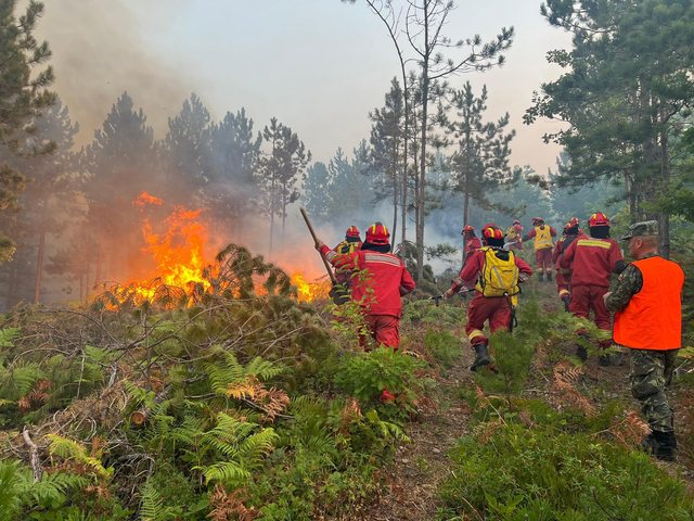 Lista/ Zjarret gjat&euml; ver&euml;s, Mbrojtja shp&euml;rndan mbi 345