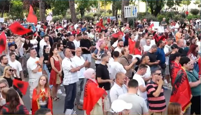 Përfaqësuesja e diasporës: Kemi organizuar protesta të
