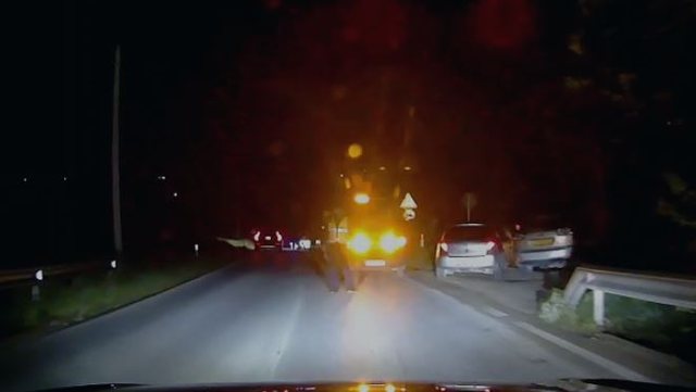 Aksident në Qafën e Koshovicës në Fier, përplasen dy