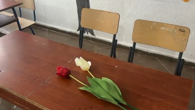 U vra me thikë nga moshatari në Durrës, shkolla vendos lule