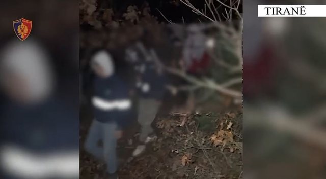 Transportonin emigrant&euml; t&euml; paligjsh&euml;m, arrestohen 2 persona,