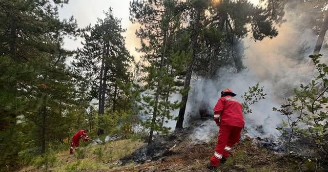Mbrojtja bën bilancin e zjarreve në vend: 23 vatra në 24