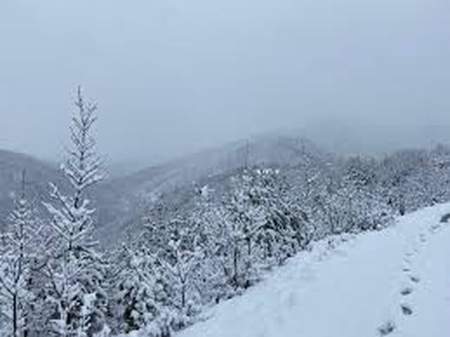 Reshje bore, bllokohet aksi Kruj&euml;&ndash;Qaf&euml; Shtam&euml;, izolohen