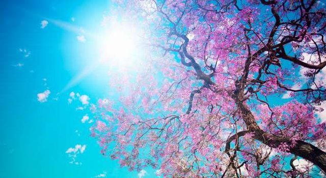 Temperatura deri në 28 gradë celcius! Java nis me mot të