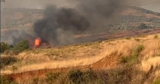 Zjarr në Zharrës të Fierit, flakët rrezikojnë puset e