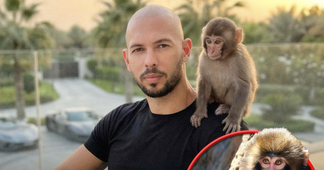 Andrew Tate ofron 250,000 dollar&euml; p&euml;r t&euml; bler&euml; majmunin