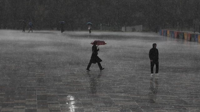 Reshje t&euml; dendura shiu n&euml; t&euml; gjith&euml; vendin, si parashikohet