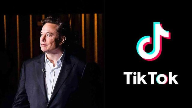 Sa mund t’i kushtojë Elon Musk blerja e TikTok?