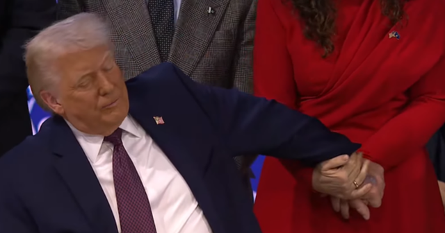 Mavijosja e madhe n&euml; dor&euml;n e majt&euml;, Trump zbulon