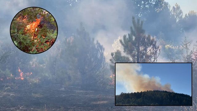 Zjarri në Miras të Devollit vihet nën kontroll, por dëmet