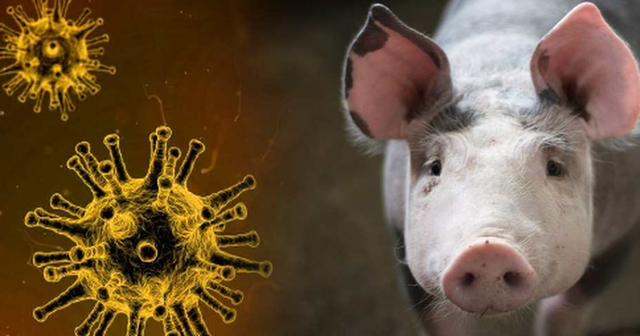 Spanja në alarm nga humbja e miliarda eurove eksporte për shkak