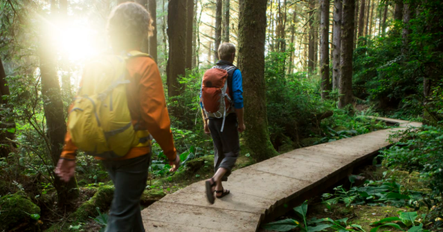 E thonë studiuesit: Ecja e shpejtë mund të ngadalësojë