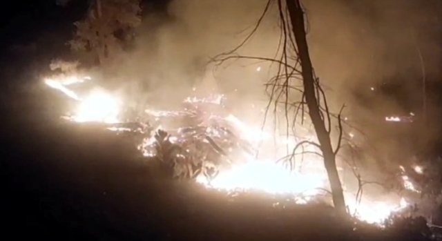 Zjarr në Bogovë, era e fortë dhe temperaturat e larta