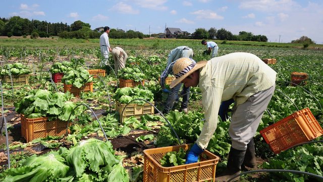Hyn n&euml; fuqi udh&euml;zimi, si do t&euml; funksionoj&euml; kompensimi 10%