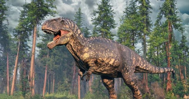 Rishkruhet pema evolucionare pas zbulimit t&euml; nj&euml; dinozauri