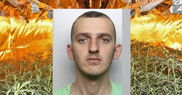 The barman was caught at home, how his girlfriend saved the Albanian man from