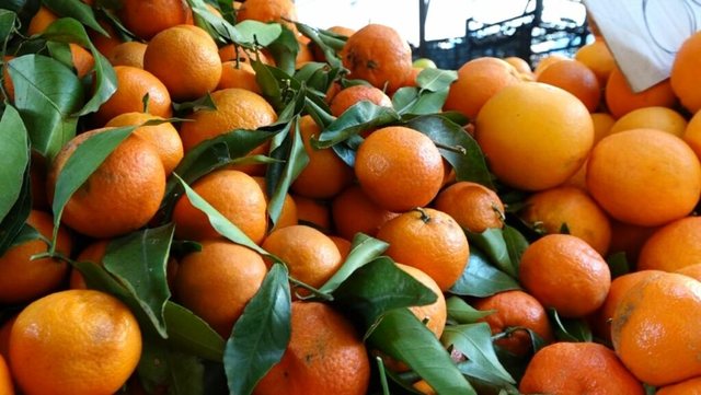 Hodhën sërish në treg 21 ton mandarina me pesticide që u