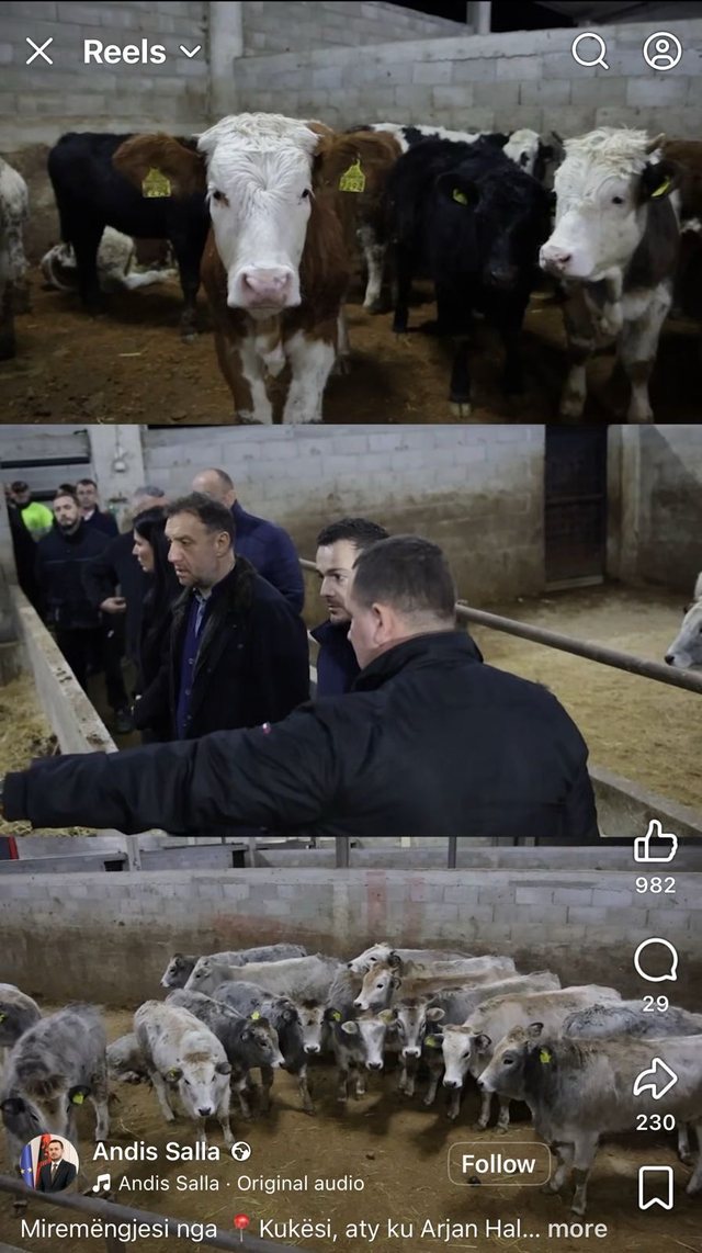 Mafia e kontraband&euml;s s&euml; gj&euml;s&euml; s&euml; gjall&euml;, po