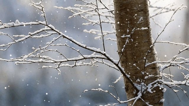 Rain and snow in mountainous areas/ Weather forecast for this Tuesday