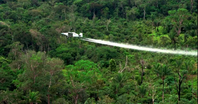 Pas presionit amerikan, Kolumbia fillon sp&euml;rkatjen e kokain&euml;s me