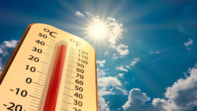 Java nis me kthjellime dhe temperatura të larta, parashikimi i motit
