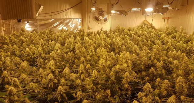 15 shqiptar&euml; d&euml;nohen me 32 vite burg p&euml;r &lsquo;sht&euml;pi