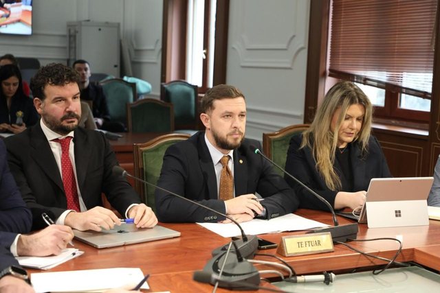 &ldquo;Precedent i rreziksh&euml;m&rdquo;, BIRN: Drafti p&euml;r tenderat e