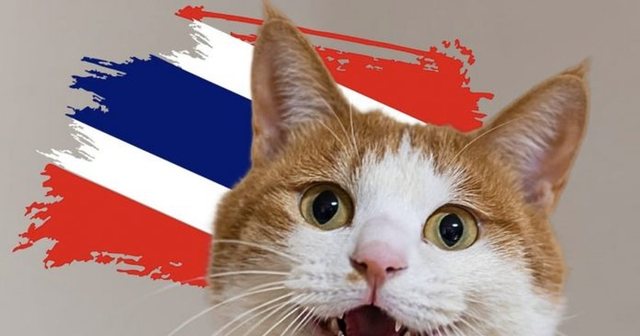 Macet shpallen zyrtarisht simbole kombëtare në Tajlandë