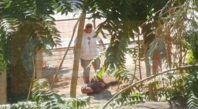 Pandeli Nakolec's arrest, footage released! Here's what the