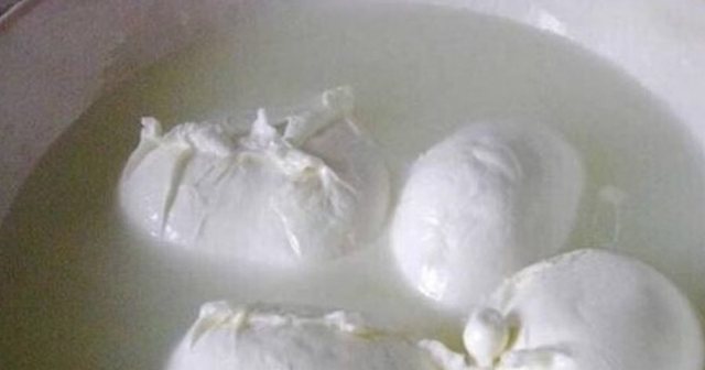 Skandal në Itali, zbulohet përmbajtje hekuri në mocarela,