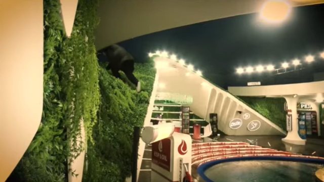 P&euml;rjashtimi i Kristit nga BBV, zbulohet arsyeja