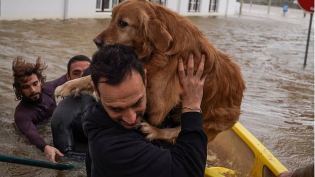 Stuhi shkatërrimtare në Gadishullin Iberik, kërkohet shtyrja e