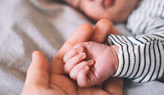 Shqip&euml;ria po &ldquo;shuhet&rdquo;! Lindjet n&euml; 2025-n ishin 74% m&euml;