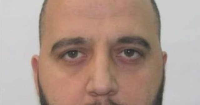 Krahu i djatht&euml; i Suel &Ccedil;el&euml;s n&euml; Shqip&euml;ri/ Kush