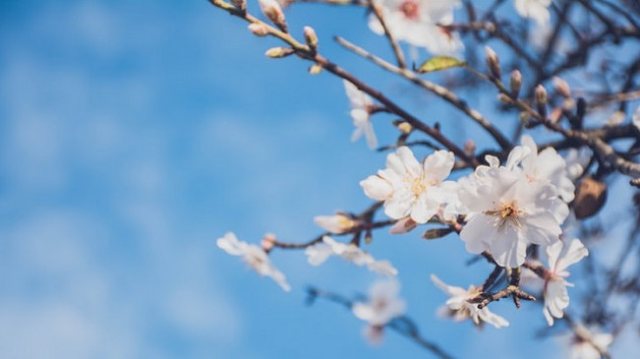 Parashikimi i motit për sot. Temperatura të larta dhe rrebeshe shiu