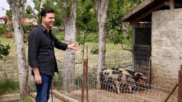 “Nëse votoni 5 dhe 1 do zhgërryheni si derra”, Basha