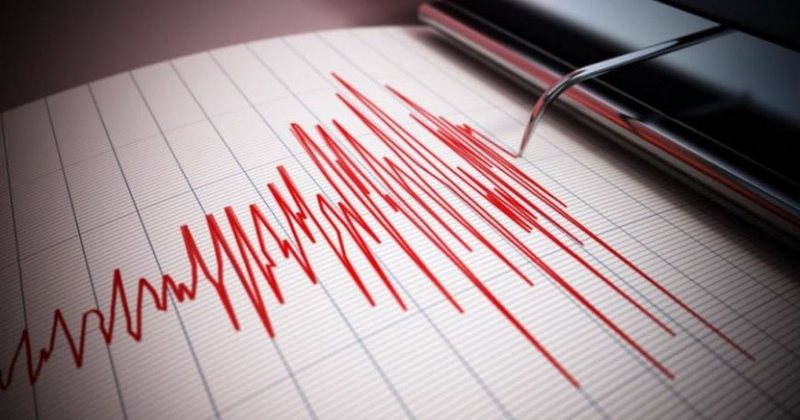 Një tërmet i fortë godet Teksasin Perëndimor, sa ishte