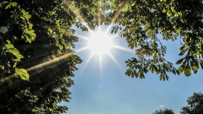 Kthjellime dhe temperatura mesatare, si parashikohet moti në vendin