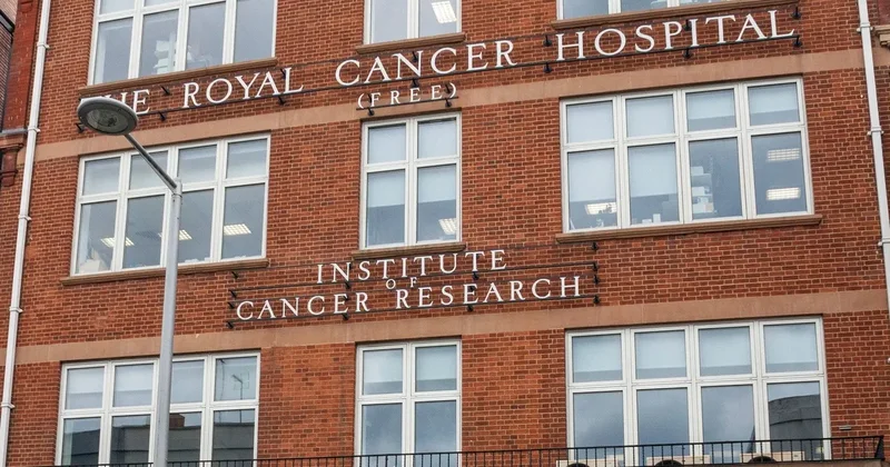 Tests give hope/ A new smart cancer drug completely eliminates tumors