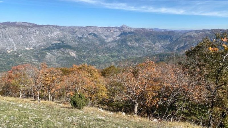 Rrebeshe shiu dhe temperatura në rritje, parashikimi i motit për sot