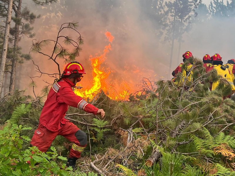 The fires left behind colossal consequences, Minister Vengu shows how