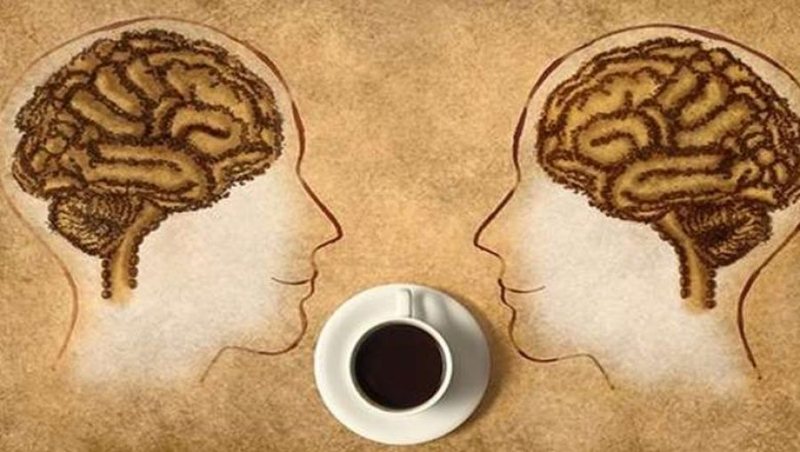 Studimi/ Kafe apo &ccedil;aj, ja sa duhet t&euml; pini n&euml; dit&euml; q&euml;