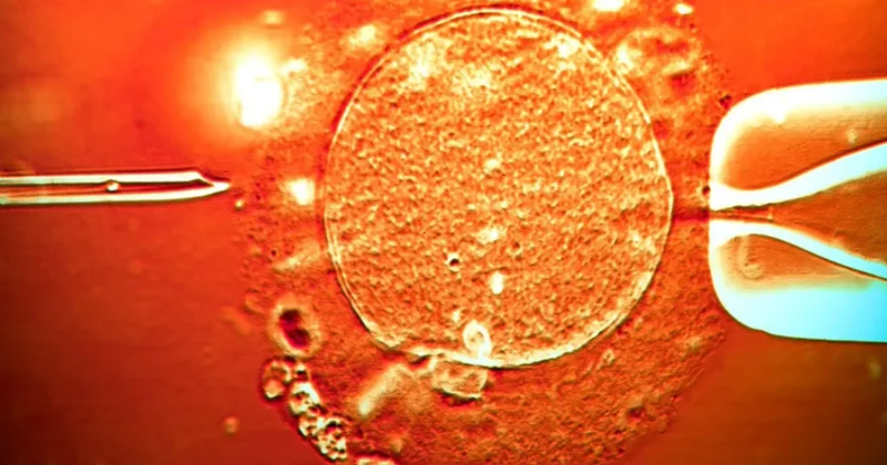 E kanë përdorur edhe në Shqipëri, dhuruesi i spermës me