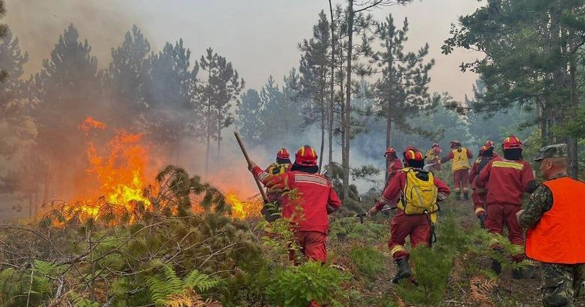 Instituti i Gjeoshkencave paralajmëron rrezik të lartë për zjarre në qarqet Lezhë  Durrës dhe Fier