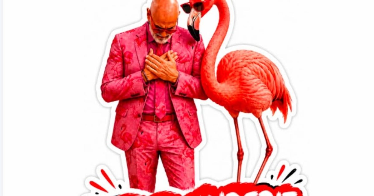 Rama feston 62 vjetorin me kostum rozë dhe me Flamingo me syze  Faleminderit që më shani 