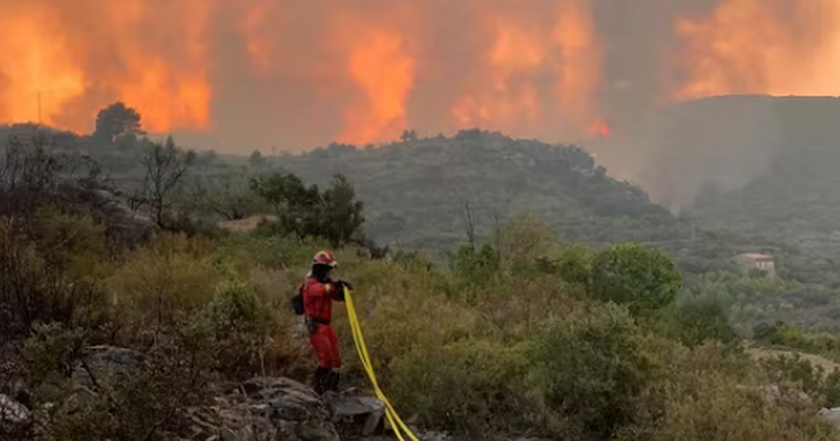 Kriza e zjarreve në Spanjë  Temperaturat ekstreme dhe thatësira përhapin flakët pranë Madridit